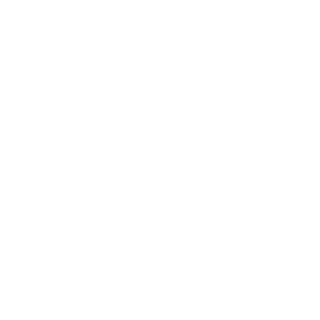 BayView Documentaries logo