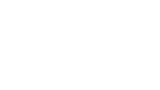 Daily Flash logo